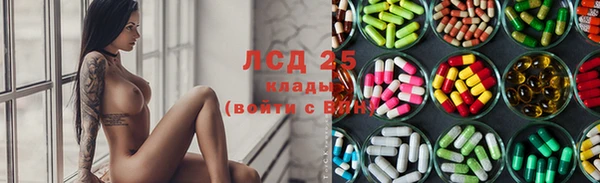 спайс Беломорск