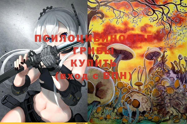 не бодяженный Богданович