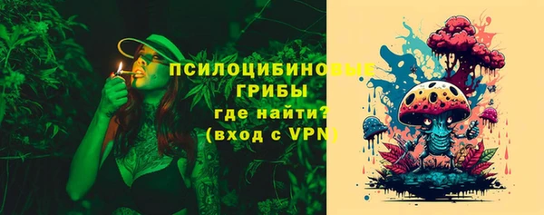 MDMA Богородицк