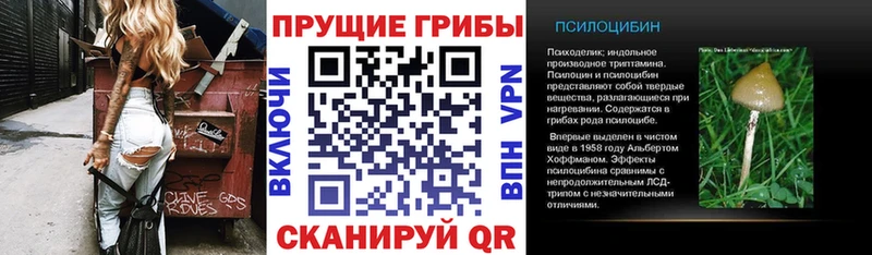 Псилоцибиновые грибы мицелий даркнет сайт Вуктыл